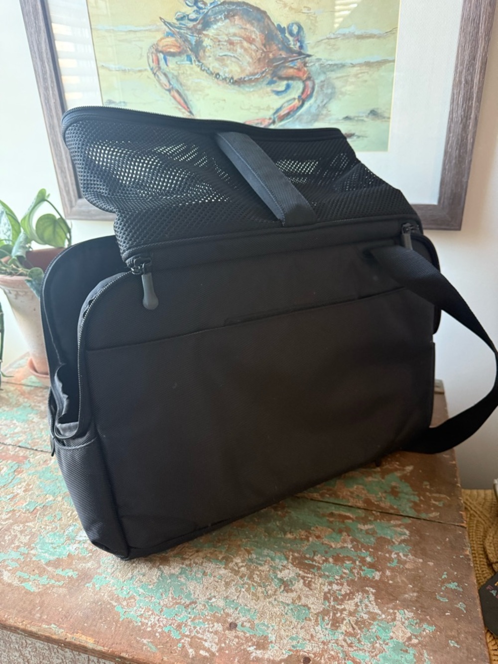 Atom Black Pet Carrier - Secure Travel Bag for Small Dogs - Picture 8 of 8